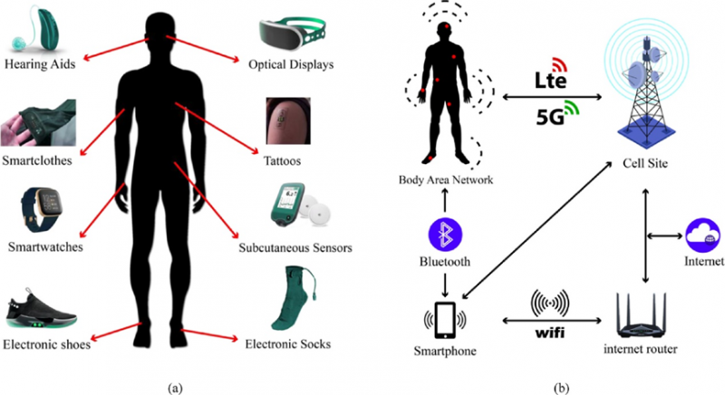 可穿戴设备在训练中的应用监测心率皮电反应以辅助心理训练