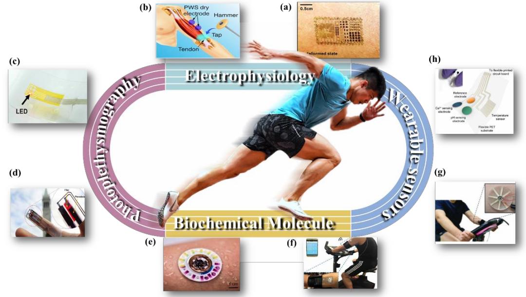 可穿戴设备在训练中的应用监测心率皮电反应以辅助心理训练