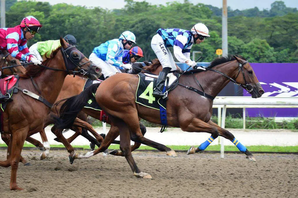 新加坡赛马彩票：VR观赛投注引领科技娱乐新潮流