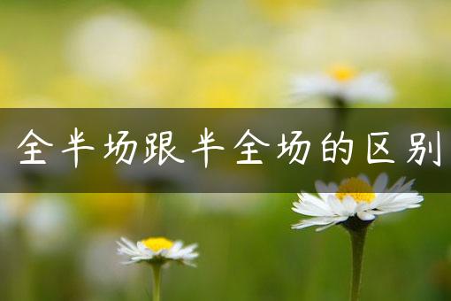 半场/全场：在竞技体育中的战略与魅力